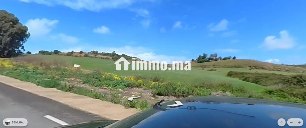 Terrain en vente à Asilah. Superficie 115000 m² - Vente Immobilier - Asilah - photo 2