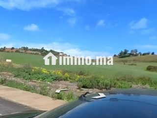Terrain en vente à Asilah. Superficie 115000 m² - Terrain à vendre - Asilah