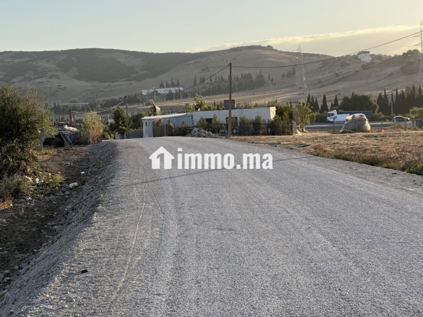 أرض للبيع طريق طنجة تطوان على الطريق - Vente Immobilier - Tanger - photo 6