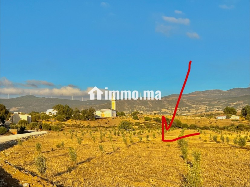 أرض للبيع طريق طنجة تطوان على الطريق - Vente Immobilier - Tanger - photo 3
