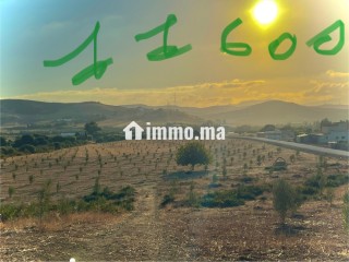 أرض للبيع طريق طنجة تطوان على الطريق - Terrain à vendre - Tanger