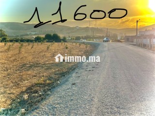 أرض للبيع طريق طنجة تطوان على الطريق - Terrain à vendre - Tanger