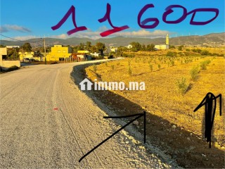أرض للبيع طريق طنجة تطوان على الطريق - Terrain à vendre - Tanger