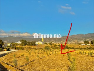 أرض للبيع طريق طنجة تطوان على الطريق - Terrain à vendre - Tanger