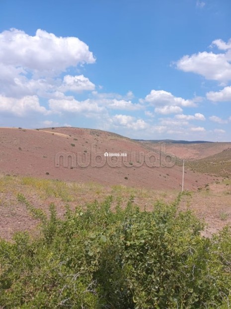 Developpement de terrain a benslimane - Vente Immobilier - Benslimane - photo 1