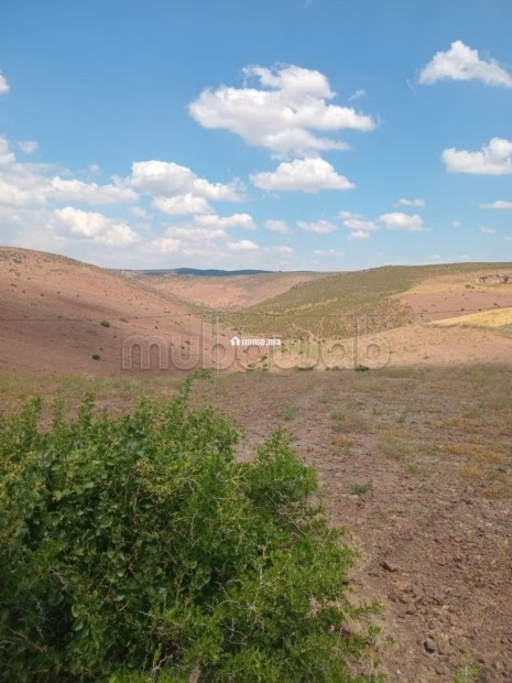Developpement de terrain a benslimane - Vente Immobilier - Benslimane - photo 2