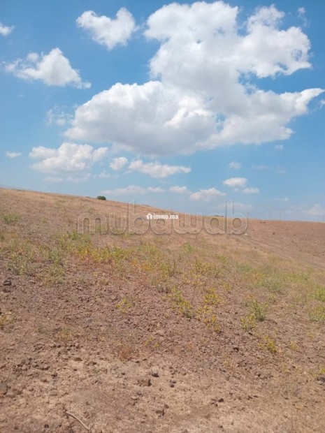 Developpement de terrain a benslimane - Vente Immobilier - Benslimane - photo 3