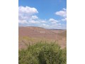 Developpement de terrain a benslimane - miniature 1