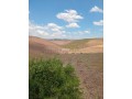 Developpement de terrain a benslimane - miniature 2