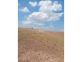 Developpement de terrain a benslimane - miniature 3
