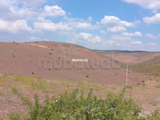 Developpement de terrain a benslimane - Terrain à vendre - Benslimane