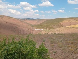 Developpement de terrain a benslimane - Terrain à vendre - Benslimane