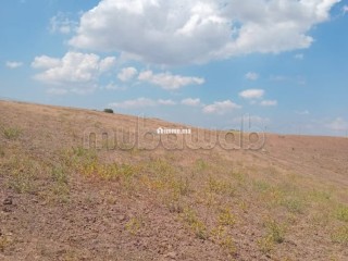 Developpement de terrain a benslimane - Terrain à vendre - Benslimane
