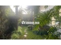 Villa de luxe à vendre à Californie. 3 chambres agréables. Terrasse et jardin - miniature 2