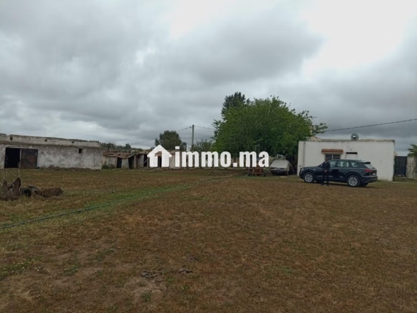 Shoul – Douar Lmfalha - Vente Immobilier - Sale - photo 7