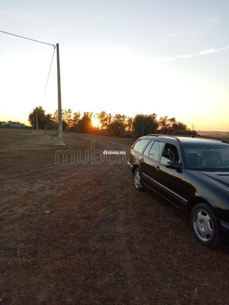 Shoul – Douar Lmfalha - Vente Immobilier - Sale - photo 8