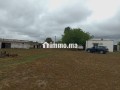 Shoul – Douar Lmfalha - miniature 7