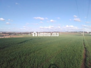 Shoul – Douar Lmfalha - Appartement à vendre - Sale