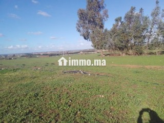 Shoul – Douar Lmfalha - Appartement à vendre - Sale