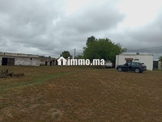 Shoul – Douar Lmfalha - Appartement à vendre - Sale