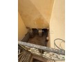 Riad a vendre kennaria medina marrakech - miniature 3