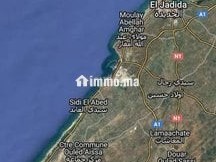 Terrain à vendre 3,9 hectares près de El Jadida - Terrain à vendre - El Jadida