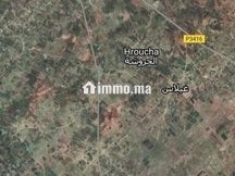 Terrain à vendre 3,9 hectares près de El Jadida - Terrain à vendre - El Jadida