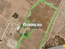 Terrain à vendre 3,9 hectares près de El Jadida - Terrain à vendre - El Jadida