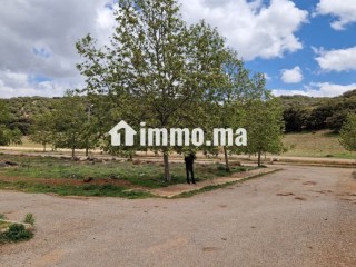 Terrain villa à vendre - Villa à vendre - Ifrane