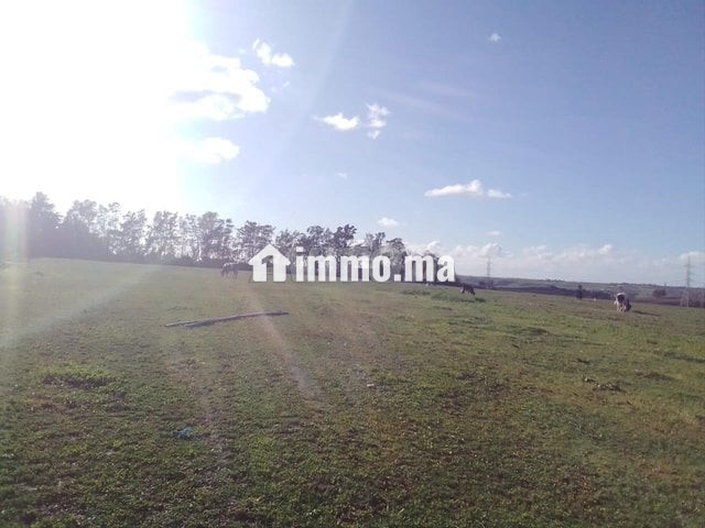 S'houle Douar Mefalha - Vente Immobilier - Sale - photo 2