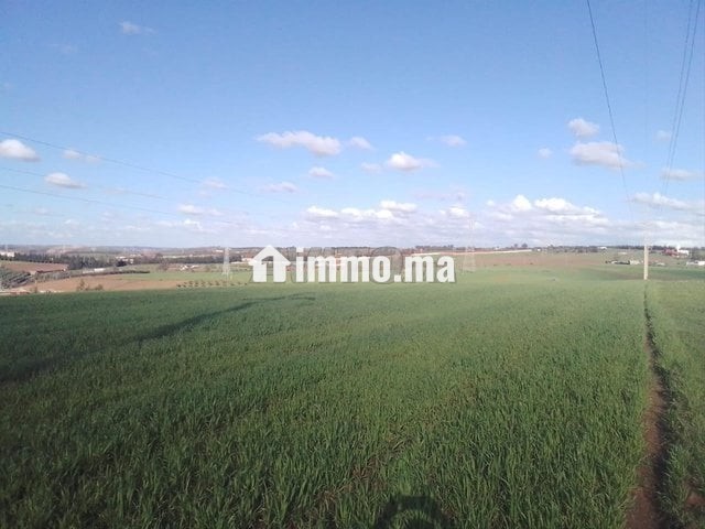 S'houle Douar Mefalha - Vente Immobilier - Sale - photo 5