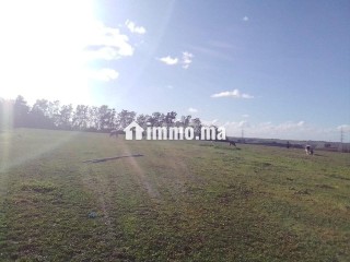 S'houle Douar Mefalha - Terrain à vendre - Sale
