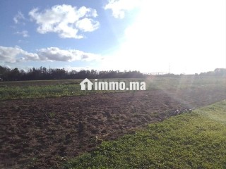 S'houle Douar Mefalha - Terrain à vendre - Sale