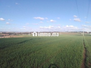 S'houle Douar Mefalha - Terrain à vendre - Sale