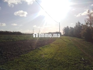 S'houle Douar Mefalha - Terrain à vendre - Sale