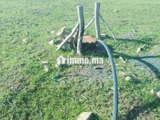 S'houle Douar Mefalha - Terrain à vendre - Sale