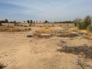 Terrain à vendre de 3 200 m² - Terrain à vendre - Marrakech