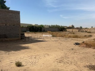 Terrain à vendre de 3 200 m² - Terrain à vendre - Marrakech
