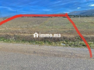 أرض للبيع كروشي بلانكو طريق طنجة تطوان - Terrain à vendre - Tanger