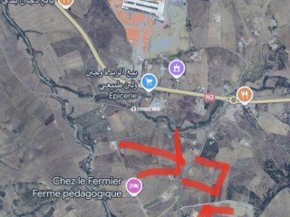 أرض للبيع كروشي بلانكو طريق طنجة تطوان - Terrain à vendre - Tanger