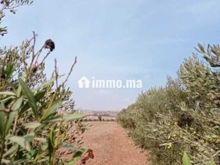 ضيعة مُحفظة بمساحة 3.5 هكتار بالمحمدية - Terrain à vendre - Mohammedia