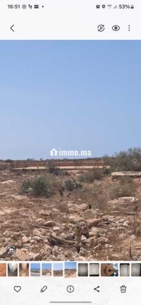 Vend mon LOT de TERRAIN dans la région d'ESSAOUIRA - Vente Immobilier - Essaouira - photo 2