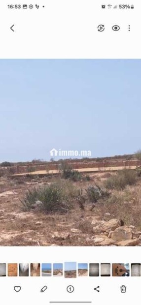 Vend mon LOT de TERRAIN dans la région d'ESSAOUIRA - Vente Immobilier - Essaouira - photo 3
