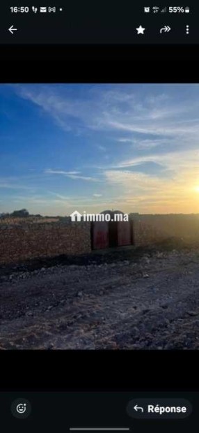 Vend mon LOT de TERRAIN dans la région d'ESSAOUIRA - Vente Immobilier - Essaouira - photo 4