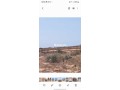 Vend mon LOT de TERRAIN dans la région d'ESSAOUIRA - miniature 3