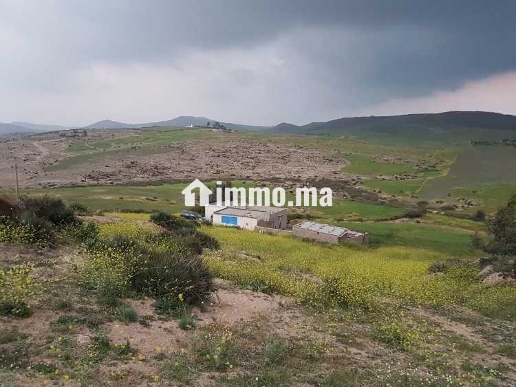 Terrain titré - Vente Immobilier - Rabat - photo 1