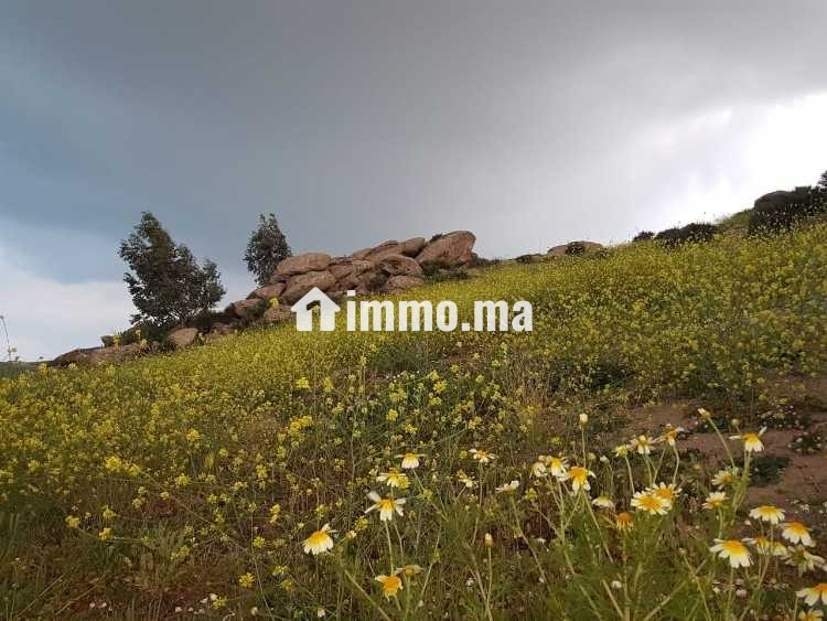 Terrain titré - Vente Immobilier - Rabat - photo 3