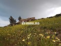 Terrain titré - miniature 3