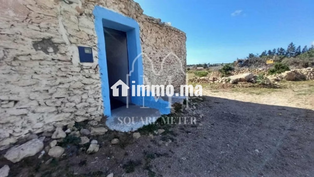 Beldi House - Vente Immobilier - Essaouira - photo 1