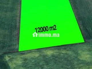 ارض للبيع ببرشيد - Terrain à vendre - Casablanca
